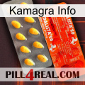 Kamagra Info new01